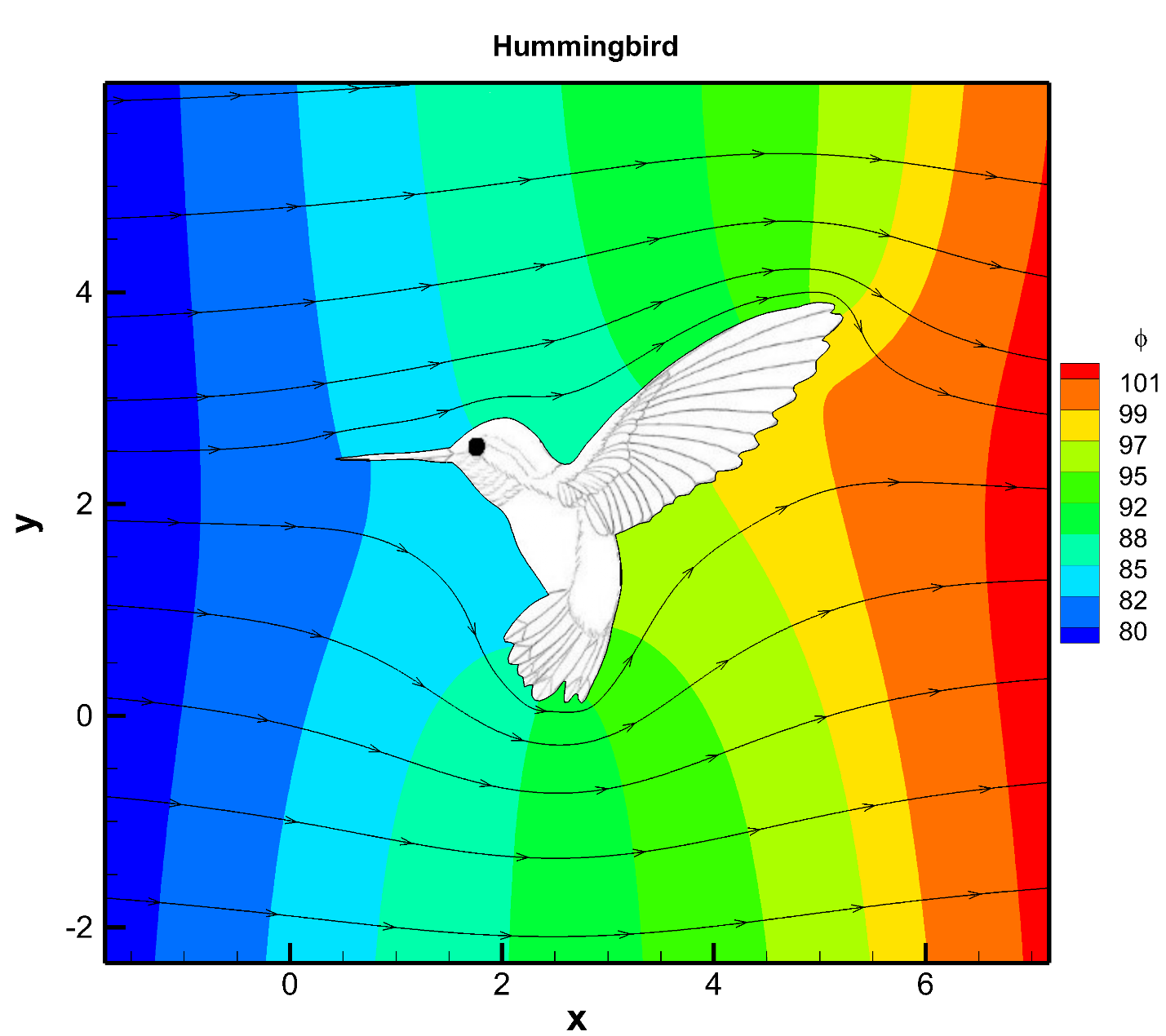 hummingbirds_contour_streamline_zoom_out